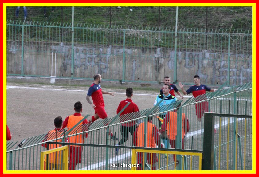 181111 Cepha_Milazzo 100_tn.JPG